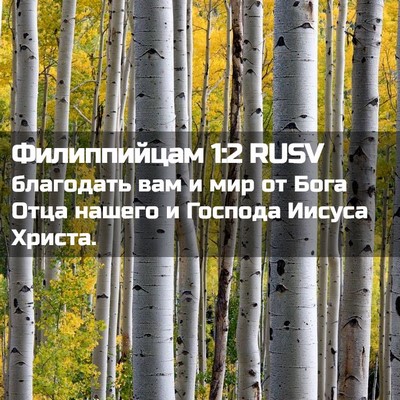 Picture 02 - Филиппийцам 1:2 RUSV - благодать вам и мир от Бога - Bible Verse Picture