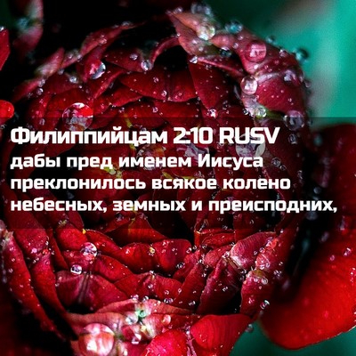 Picture 02 - Филиппийцам 2:10 RUSV - дабы пред именем Иисуса - Bible Verse Picture