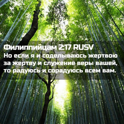 Picture 02 - Филиппийцам 2:17 RUSV - Но если я и соделываюсь - Bible Verse Picture