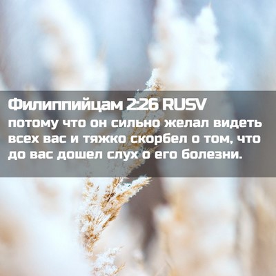 Picture 02 - Филиппийцам 2:26 RUSV - потому что он сильно желал - Bible Verse Picture