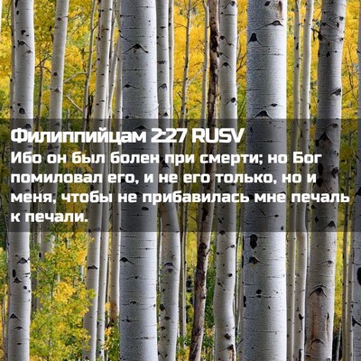 Picture 02 - Филиппийцам 2:27 RUSV - Ибо он был болен при - Bible Verse Picture