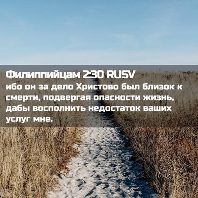 Picture 02 - Филиппийцам 2:30 RUSV - ибо он за дело Христово был - Bible Verse Picture