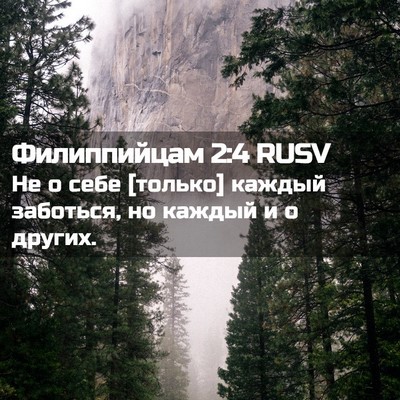 Picture 02 - Филиппийцам 2:4 RUSV - Не о себе [только] каждый - Bible Verse Picture