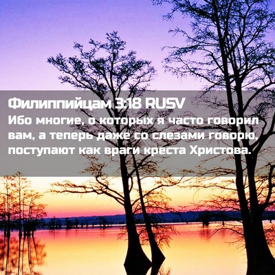 Picture 02 - Филиппийцам 3:18 RUSV - Ибо многие, о которых я - Bible Verse Picture
