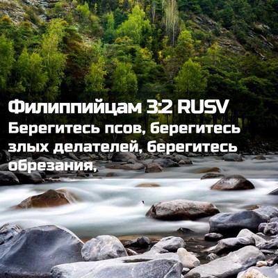 Picture 02 - Филиппийцам 3:2 RUSV - Берегитесь псов, - Bible Verse Picture