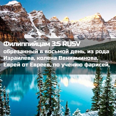 Picture 02 - Филиппийцам 3:5 RUSV - обрезанный в восьмой день, - Bible Verse Picture