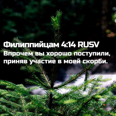 Picture 02 - Филиппийцам 4:14 RUSV - Впрочем вы хорошо - Bible Verse Picture