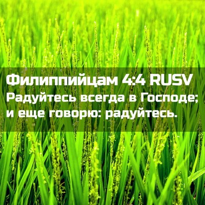 Picture 02 - Филиппийцам 4:4 RUSV - Радуйтесь всегда в - Bible Verse Picture