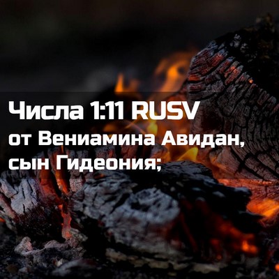 Picture 02 - Числа 1:11 RUSV - от Вениамина Авидан, сын - Bible Verse Picture