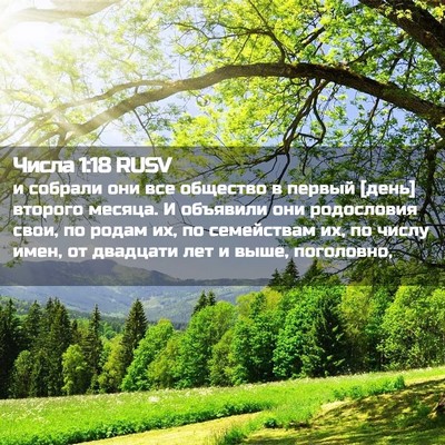 Picture 02 - Числа 1:18 RUSV - и собрали они все общество - Bible Verse Picture