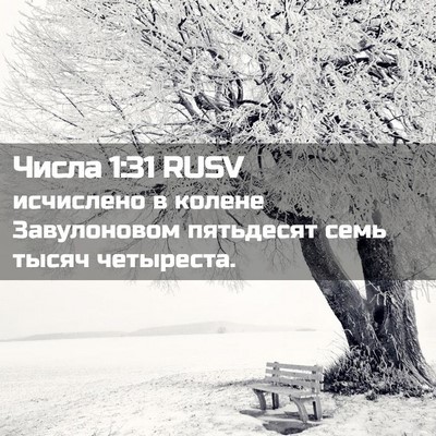 Picture 02 - Числа 1:31 RUSV - исчислено в колене - Bible Verse Picture