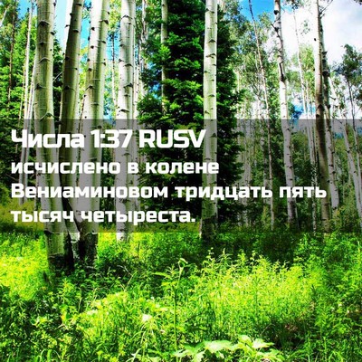 Picture 02 - Числа 1:37 RUSV - исчислено в колене - Bible Verse Picture