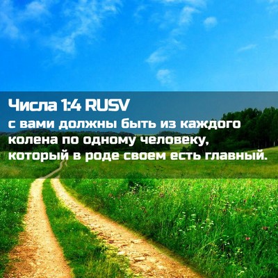 Picture 02 - Числа 1:4 RUSV - с вами должны быть из - Bible Verse Picture