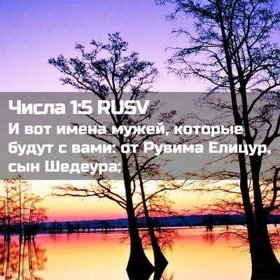 Picture 02 - Числа 1:5 RUSV - И вот имена мужей, которые - Bible Verse Picture