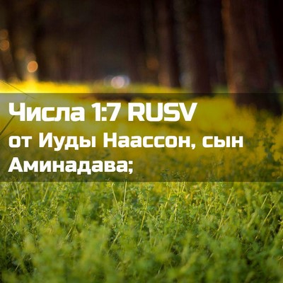 Picture 02 - Числа 1:7 RUSV - от Иуды Наассон, сын - Bible Verse Picture
