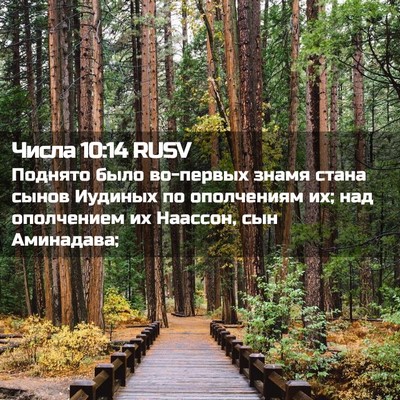 Picture 02 - Числа 10:14 RUSV - Поднято было во-первых - Bible Verse Picture