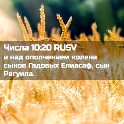 Picture 02 - Числа 10:20 RUSV - и над ополчением колена - Bible Verse Picture
