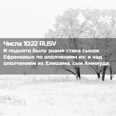 Picture 02 - Числа 10:22 RUSV - И поднято было знамя стана - Bible Verse Picture