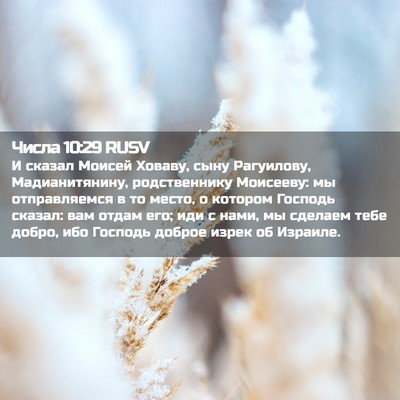 Picture 02 - Числа 10:29 RUSV - И сказал Моисей Ховаву, - Bible Verse Picture