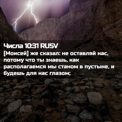 Picture 02 - Числа 10:31 RUSV - [Моисей] же сказал: не - Bible Verse Picture