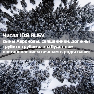 Picture 02 - Числа 10:8 RUSV - сыны Аароновы, священники, - Bible Verse Picture