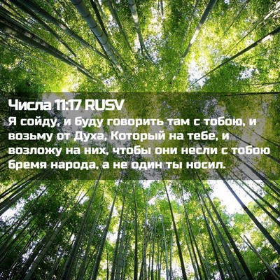 Picture 02 - Числа 11:17 RUSV - Я сойду, и буду говорить - Bible Verse Picture