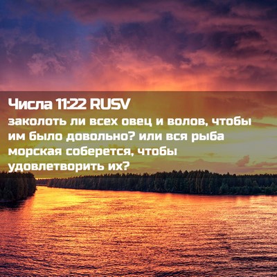 Picture 02 - Числа 11:22 RUSV - заколоть ли всех овец и - Bible Verse Picture