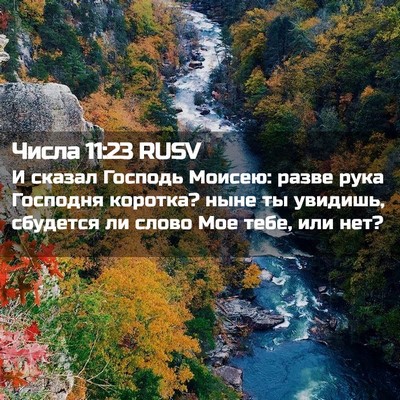 Picture 02 - Числа 11:23 RUSV - И сказал Господь Моисею: - Bible Verse Picture