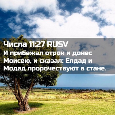 Picture 02 - Числа 11:27 RUSV - И прибежал отрок и донес - Bible Verse Picture