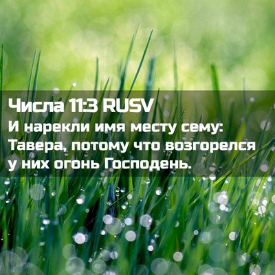 Picture 02 - Числа 11:3 RUSV - И нарекли имя месту сему: - Bible Verse Picture