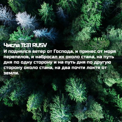 Picture 02 - Числа 11:31 RUSV - И поднялся ветер от - Bible Verse Picture