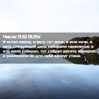 Picture 02 - Числа 11:32 RUSV - И встал народ, и весь тот - Bible Verse Picture