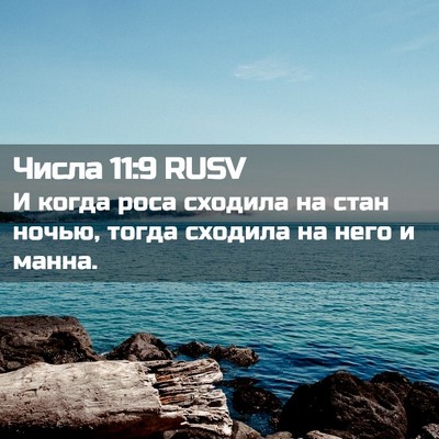 Picture 02 - Числа 11:9 RUSV - И когда роса сходила на - Bible Verse Picture