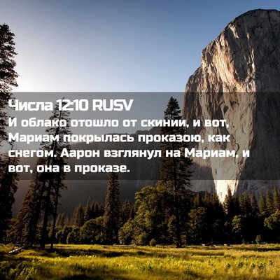 Picture 02 - Числа 12:10 RUSV - И облако отошло от скинии, - Bible Verse Picture