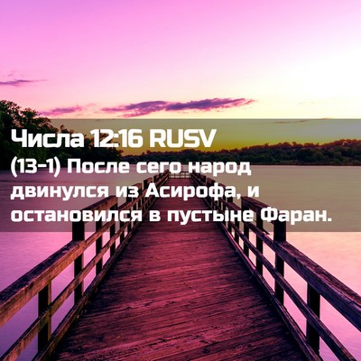 Picture 02 - Числа 12:16 RUSV - (13-1) После сего народ - Bible Verse Picture