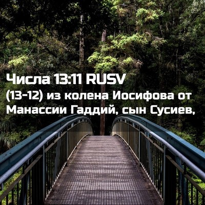 Picture 02 - Числа 13:11 RUSV - (13-12) из колена Иосифова от - Bible Verse Picture