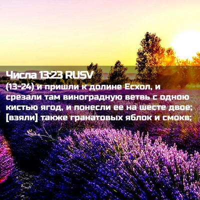 Picture 02 - Числа 13:23 RUSV - (13-24) и пришли к долине - Bible Verse Picture