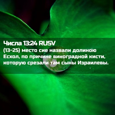 Picture 02 - Числа 13:24 RUSV - (13-25) место сие назвали - Bible Verse Picture