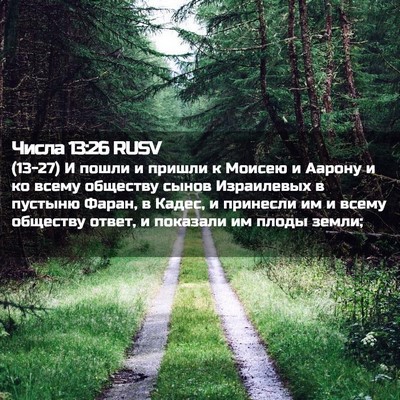 Picture 02 - Числа 13:26 RUSV - (13-27) И пошли и пришли к - Bible Verse Picture