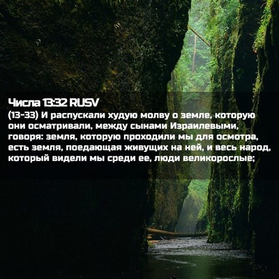 Picture 02 - Числа 13:32 RUSV - (13-33) И распускали худую - Bible Verse Picture