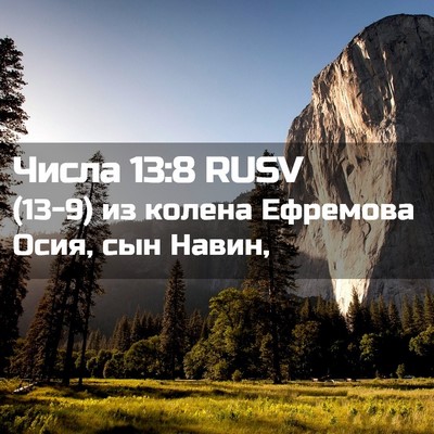 Picture 02 - Числа 13:8 RUSV - (13-9) из колена Ефремова - Bible Verse Picture