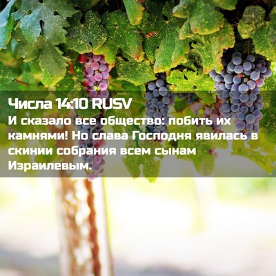 Picture 02 - Числа 14:10 RUSV - И сказало все общество: - Bible Verse Picture