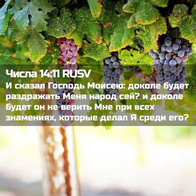 Picture 02 - Числа 14:11 RUSV - И сказал Господь Моисею: - Bible Verse Picture