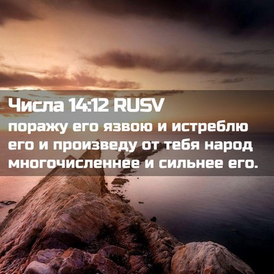 Picture 02 - Числа 14:12 RUSV - поражу его язвою и - Bible Verse Picture