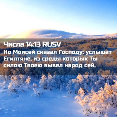 Picture 02 - Числа 14:13 RUSV - Но Моисей сказал Господу: - Bible Verse Picture