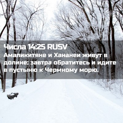 Picture 02 - Числа 14:25 RUSV - Амаликитяне и Хананеи - Bible Verse Picture