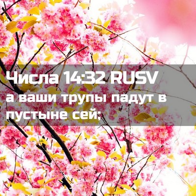 Picture 02 - Числа 14:32 RUSV - а ваши трупы падут в - Bible Verse Picture
