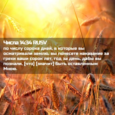 Picture 02 - Числа 14:34 RUSV - по числу сорока дней, в - Bible Verse Picture