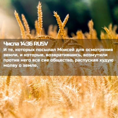 Picture 02 - Числа 14:36 RUSV - И те, которых посылал - Bible Verse Picture