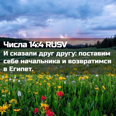 Picture 02 - Числа 14:4 RUSV - И сказали друг другу: - Bible Verse Picture